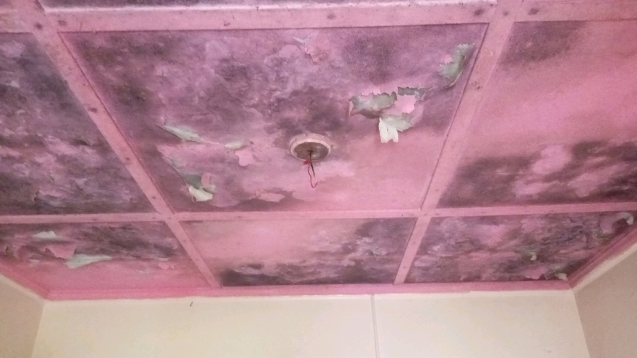 2 Bedroom Property for Sale in North Addo Road Phase 1 Eastern Cape